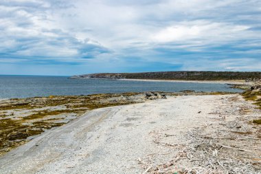 Körfez boyunca kıyı şeridi boyunca, Bellburne, Newfoundland, Kanada