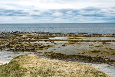 Körfez boyunca kıyı şeridi boyunca, Bellburne, Newfoundland, Kanada