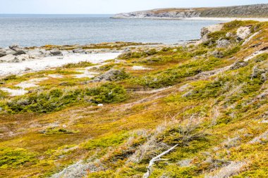 Körfez boyunca kıyı şeridi boyunca, Bellburne, Newfoundland, Kanada