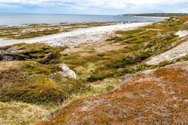 Körfez boyunca kıyı şeridi boyunca, Bellburne, Newfoundland, Kanada