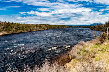 Portland Creek Nehri denize doğru esiyor. Portland Deresi, Newfoundland, Kanada