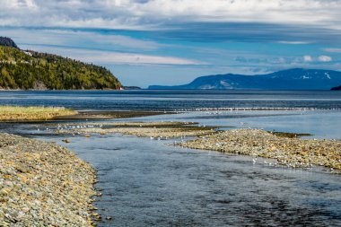 Birçok dere okyanusa giden yolu bulur. 450. Yol, Newfoundland, Kanada