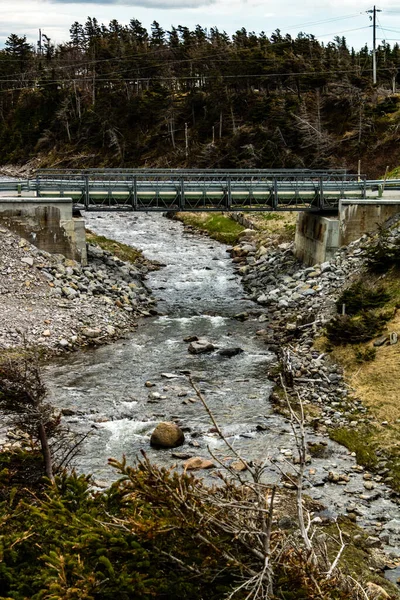 Puente Sobre Bellburne Creek Bellburne Terranova Canadá —  Fotos de Stock