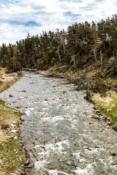 Belburne Creek Belburne Nowa Fundlandia Kanada — Zdjęcie stockowe