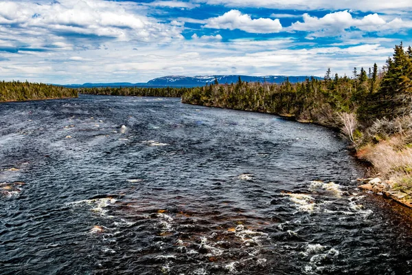 Река Портленд Крик Ветра Путь Морю Portland Creek Ньюфаундленд Канада — стоковое фото