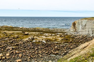 St. Lawrence Seaway ve Green Point 'in kayalık plajı. Gros Morne Ulusal Parkı, Newfoundland, Kanada