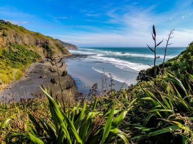 Dalgalar Muriwai Sahili, Auckland, Yeni Zelanda 'da karaya vurdu.