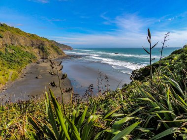 Dalgalar Muriwai Sahili, Auckland, Yeni Zelanda 'da karaya vurdu.