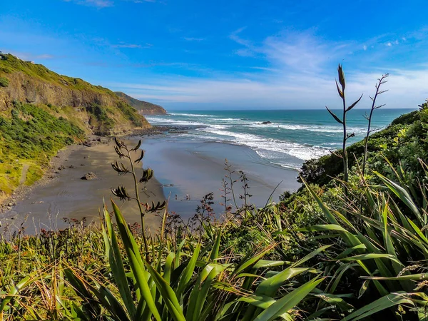Dalgalar Muriwai Sahili, Auckland, Yeni Zelanda 'da karaya vurdu.
