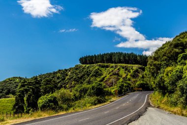Kuzey Adası 'nın yol kenarından görüntüler. Yeni Zelanda