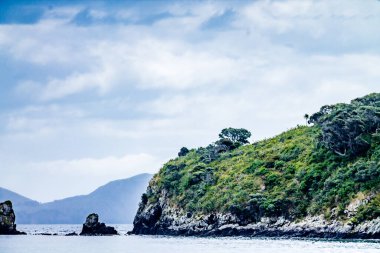 Kiralık bir tekneden adaların manzarası. Adalar Körfezi, Yeni Zeland