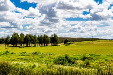 Dargaville, Yeni Zelanda çevresinde geniş açık manzaralar