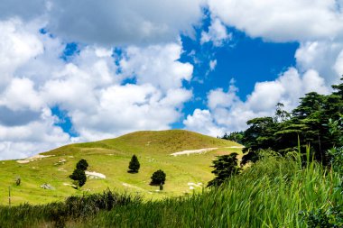 Dargaville, Yeni Zelanda çevresinde geniş açık manzaralar
