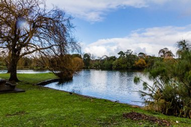Batı Springs Ördek Gölü, Auckland, Yeni Zelanda 'da gezinirken görüntüler