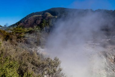 Termal göletler ve bölge, Wai-O-Tapu, Rotarua, Yeni Zelanda