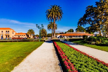 Hükümet Bahçeleri, Rotarua, Yeni Zelanda 'da gezinti.