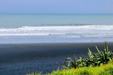 Kuzey Adası 'nın yol kenarından görüntüler. Yeni Zelanda