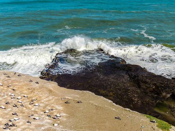 Ondas Acidente Terra Muriwai Beach Auckland Nova Zelândia — Fotografia de Stock