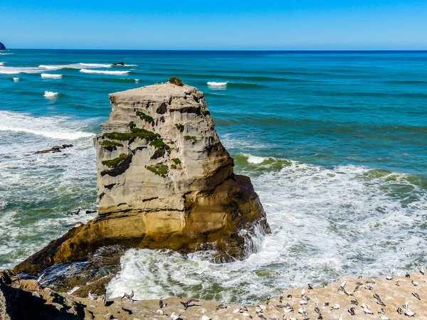 Valurile Prabusesc Plaja Muriwai Auckland Noua Zeelandă — Fotografie, imagine de stoc