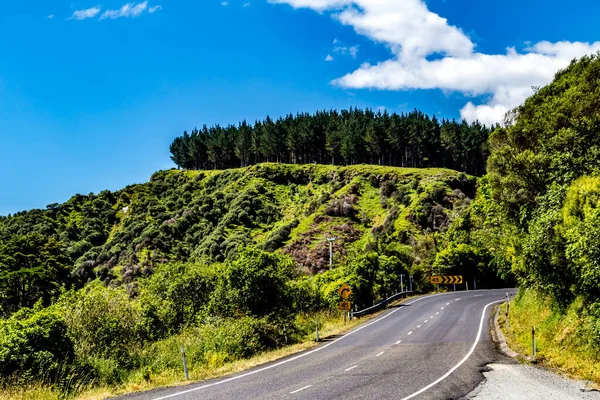 Ansichten Vom Straßenrand Der Nordinsel Neuseeland — Stockfoto