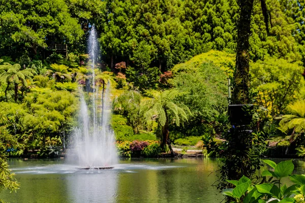 Roll Genom Pukekura Park Botaniska Trädgårdar Nya Plymouth Taranaki Nya — Stockfoto