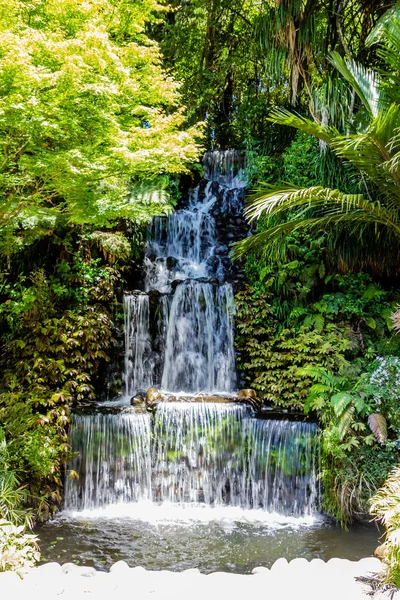 在普基库拉公园的植物园里扮演了一个角色 新西兰塔拉纳基 新普利茅斯 — 图库照片
