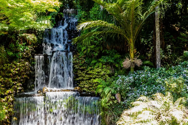 在普基库拉公园的植物园里扮演了一个角色 新西兰塔拉纳基 新普利茅斯 — 图库照片