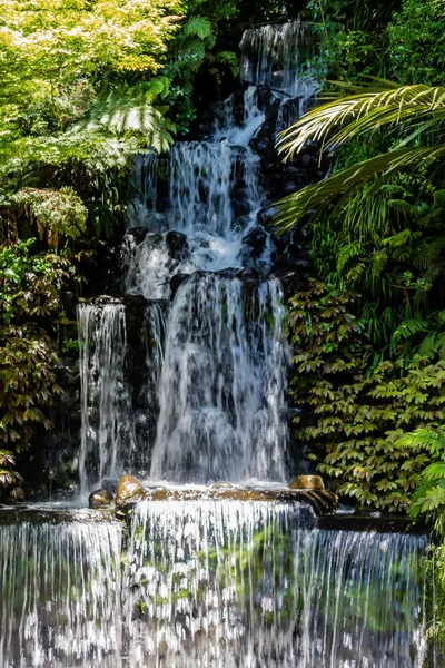 Procházka Botanickou Zahradou Parku Pukekura Nový Plymouth Taranaki Nový Zéland — Stock fotografie