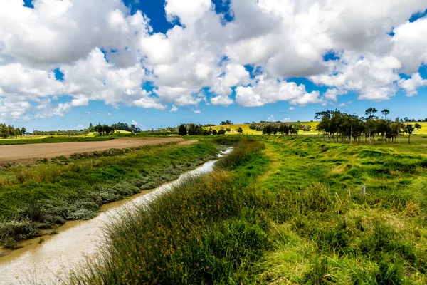 Wide Open Vistas Dargaville New Zealand — Stock Photo, Image