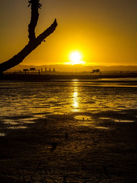 ดวงอาท ตกเหน อชายหาด พอยท ชาเว คแลนด แลนด — ภาพถ่ายสต็อก