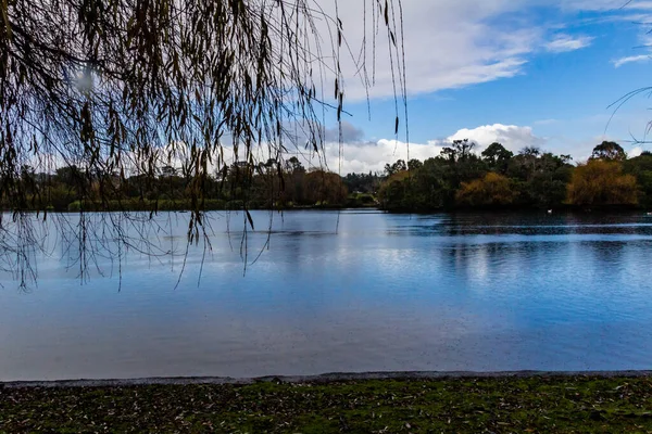 Vues Flânant Autour Western Springs Duck Pond Auckland Nouvelle Zélande — Photo