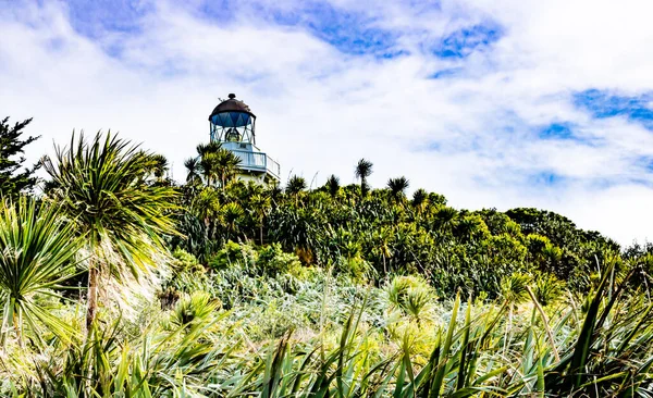 Blick Von Einem Hügel Bei Manakua Heads Auckland Neuseeland — Stockfoto