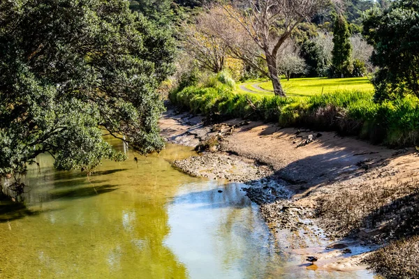 Whangarahi Reserve, Whangarahi, Yeni Zelanda 'da yürürken