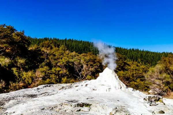 Lady Knox Geyser Prépare Exploser Puis Exploser Rotarua Nouvelle Zélande — Photo