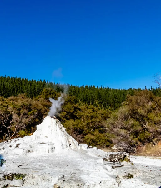 Lady Knox Geyser Prépare Exploser Puis Exploser Rotarua Nouvelle Zélande — Photo