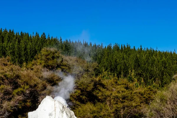 Lady Knox Geyser Prepara Para Explodir Depois Explodir Rotarua Nova — Fotografia de Stock