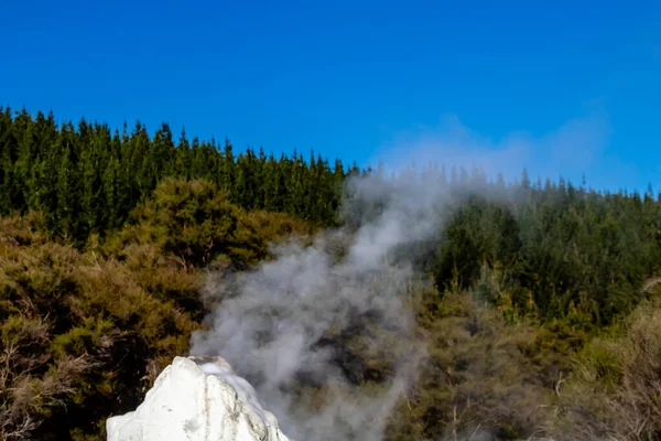 Lady Knox Geyser Prepara Para Explodir Depois Explodir Rotarua Nova — Fotografia de Stock