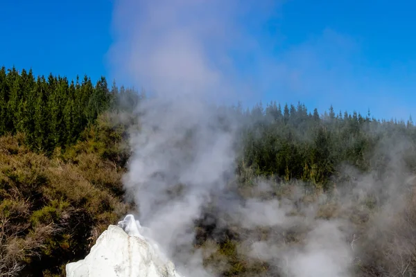 Lady Knox Geyser Felrobban Majd Felrobban Rotarua Zéland — Stock Fotó