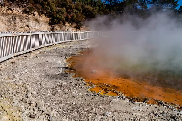 Θερμικές Λίμνες Και Περιοχή Wai Tapu Rotarua Νέα Ζηλανδία — Φωτογραφία Αρχείου