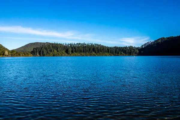 Wody Kryształowe Blue Lake Rotarua Nowa Zelandia — Zdjęcie stockowe