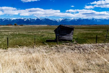 Bir çiftçi tarlasında. Polson, Montana, ABD