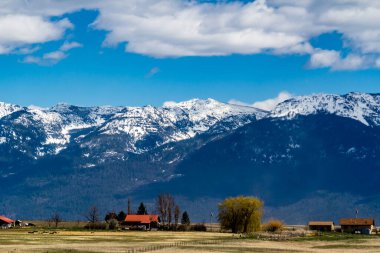Bir çiftçi tarlasında. Polson, Montana, ABD