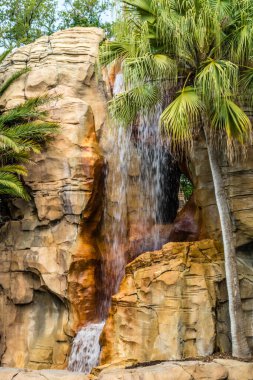Busch Gardens, Tampa, Florida, ABD 'de yürürken