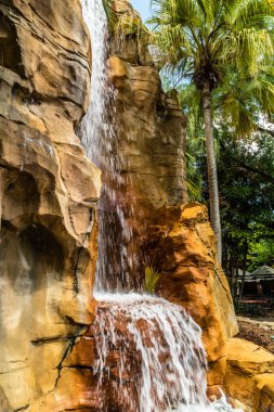 Busch Gardens, Tampa, Florida, ABD 'de yürürken