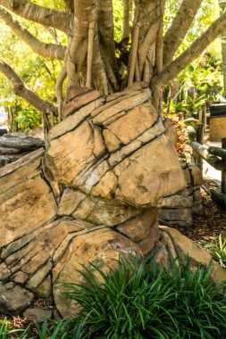 Busch Gardens, Tampa, Florida, ABD 'de yürürken