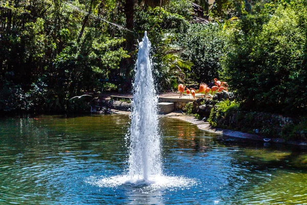 在美国佛罗里达州坦帕的Busch Gardens散步时的景色 — 图库照片