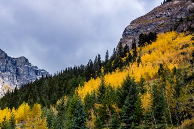 Bow Valley Parkway 'deki tüm ihtişamlarına renk gelsin. Banff Ulusal Parkı, Alberta, Kanada