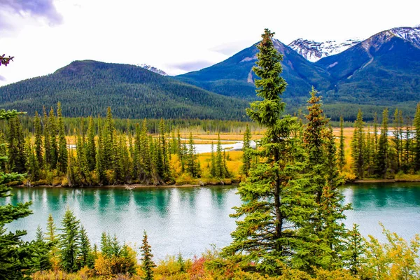 Bow nehri sonbahar renklerinin altında. Banff Ulusal Parkı, Alberta, Kanada