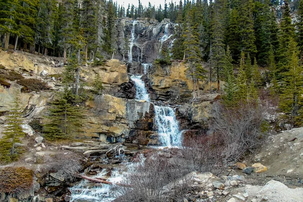 Tangle Creek Falls Flyter Fortfarande Snabbt Mitt Hösten Jaspers Nationalpark — Stockfoto