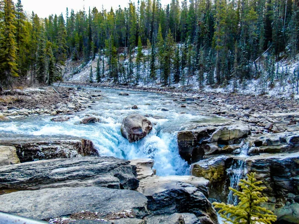 秋天中的Sunwapta瀑布 Jasper国家公园 加拿大艾伯塔省 — 图库照片